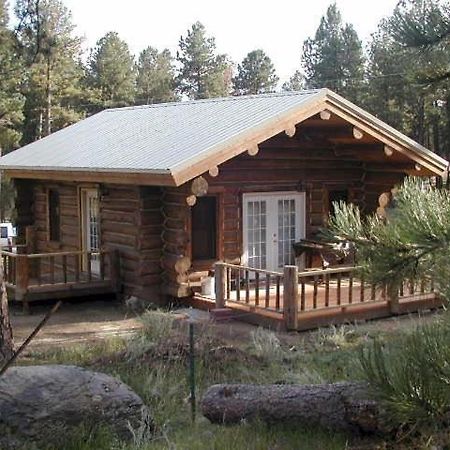 קאסטר Renegade Log Cabin מראה חיצוני תמונה